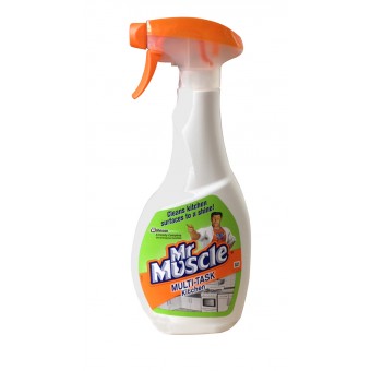 ALL PURPOSE MR MUSCLE CLEANER